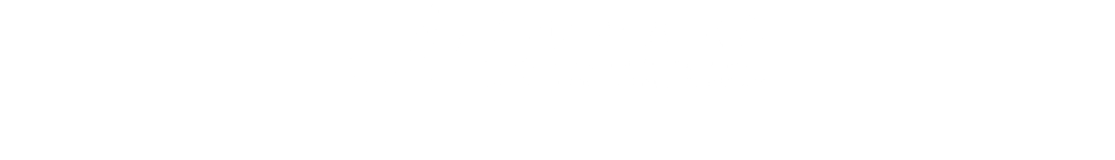 Revista Trabalhista Direito e Processo